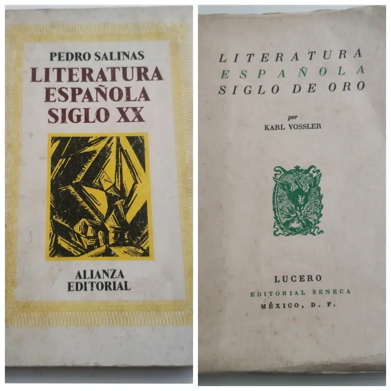 Libros de Literatura Española Siglo XX y Siglo de Oro - 1