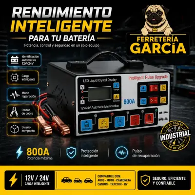 Cargador de Batería Inteligente 12V/24V 800A - miniatura 1