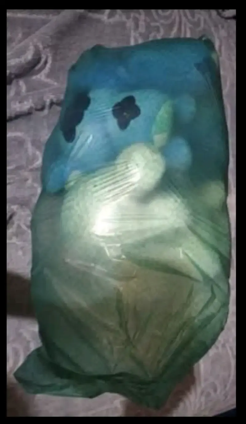 bolsa con peluches - 2