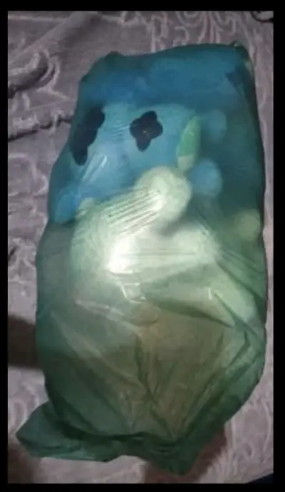 bolsa con peluches - miniatura 2