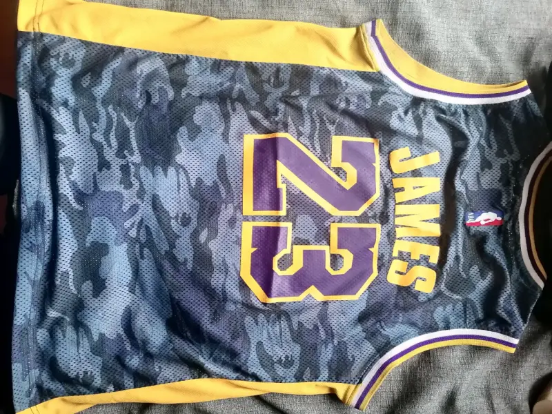 Camiseta NBA Lakers LeBron James Nike - 4