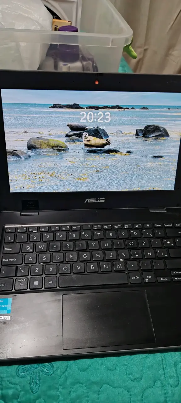 Notebook ASUS con procesador Intel Celeron - 2