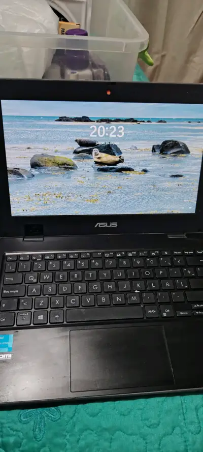 Notebook ASUS con procesador Intel Celeron - miniatura 2