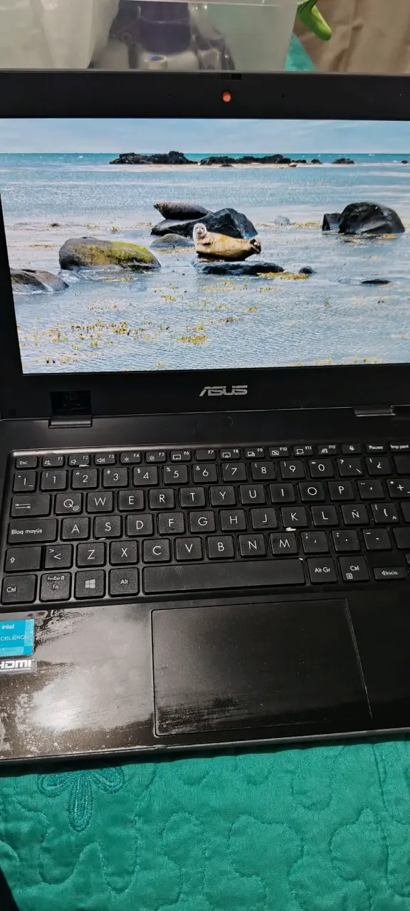 Notebook ASUS con procesador Intel Celeron - 3