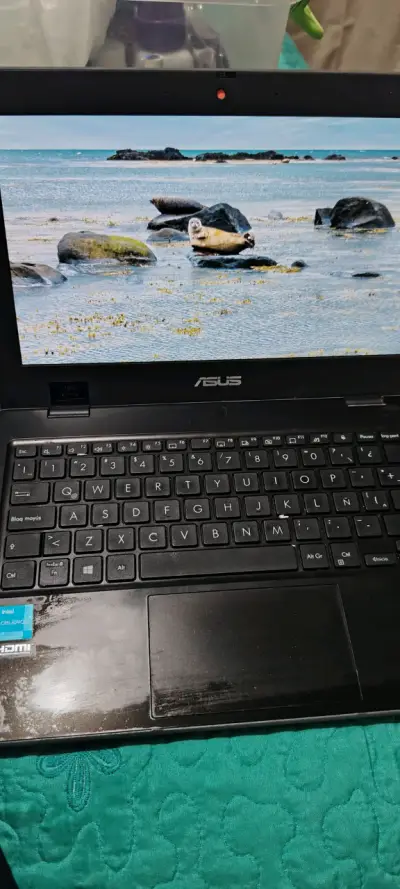 Notebook ASUS con procesador Intel Celeron - miniatura 3