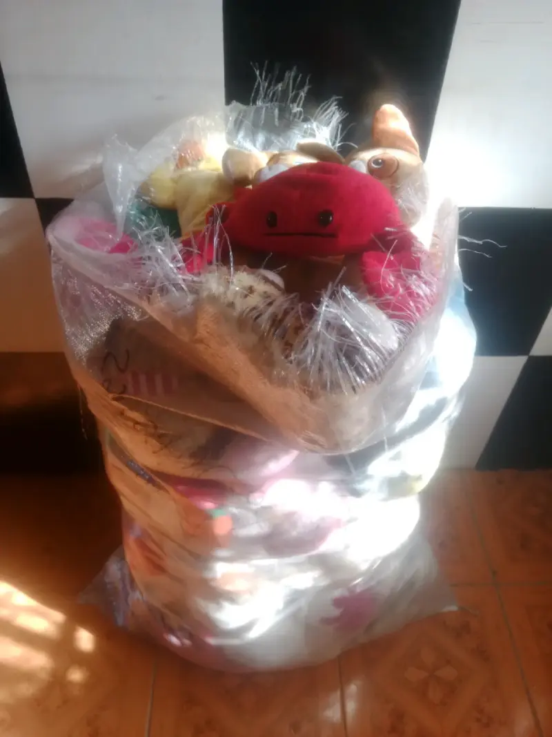 Lote de peluches variados en buen estado - 1