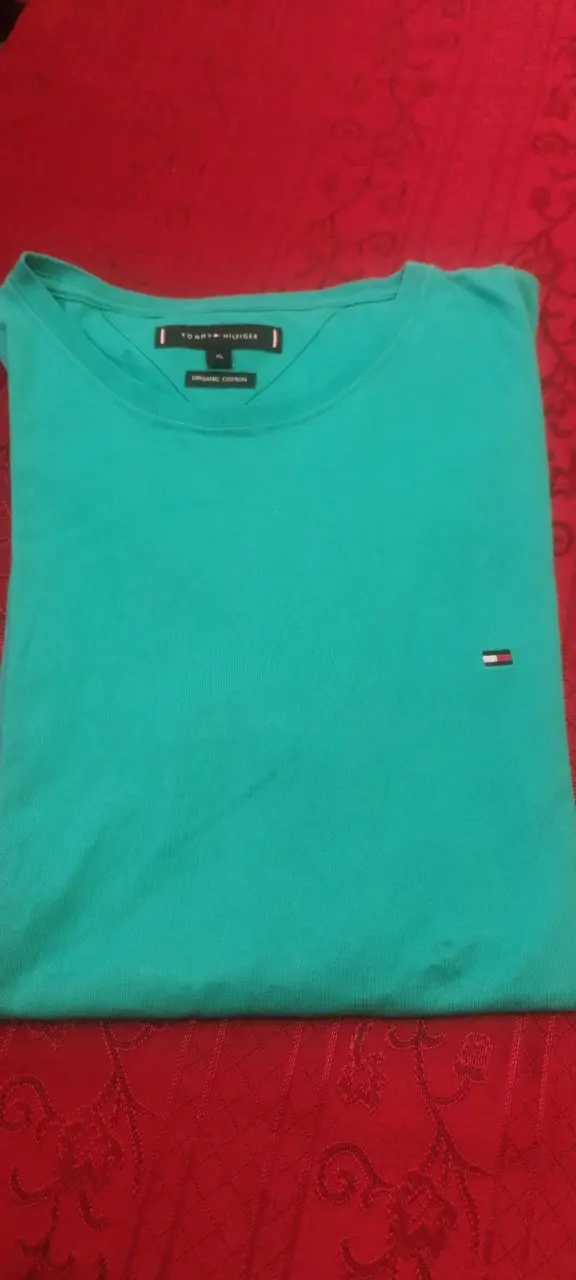 Polera Tommy Hilfiger verde algodón orgánico - 4