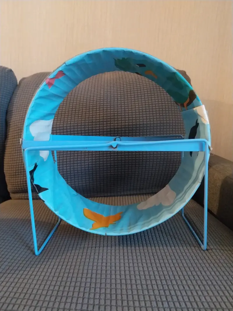 Accesorios para erizo - 5