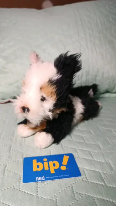 Peluche de perro blanco y negro - miniatura 1