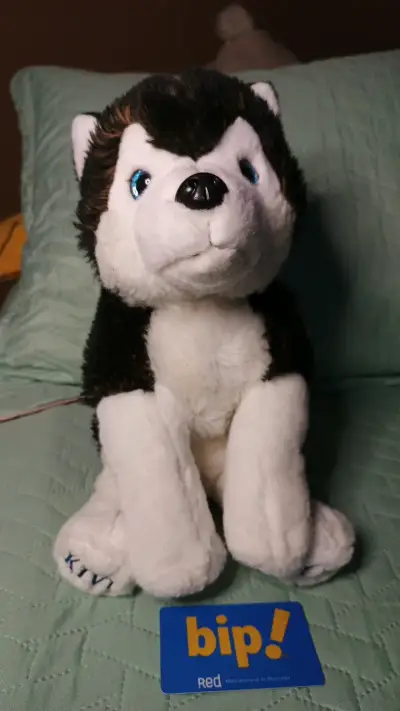 Peluche Husky de Peluche Suave - miniatura 1