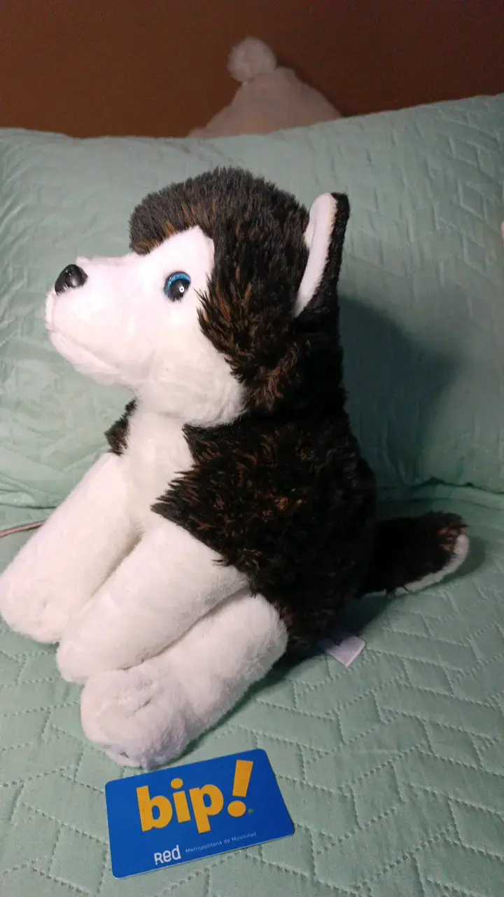 Peluche Husky de Peluche Suave - 2