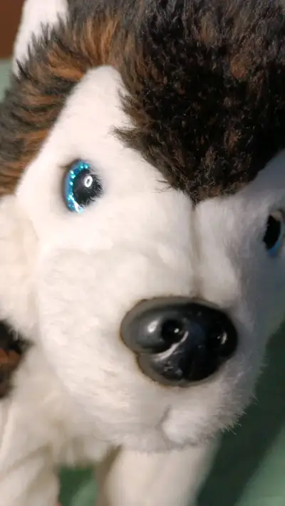 Peluche Husky de Peluche Suave - miniatura 3
