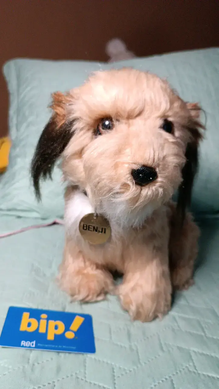 Peluche de perro Benji antiguo - 1