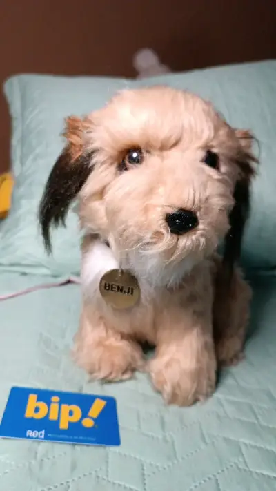 Peluche de perro Benji antiguo - miniatura 1