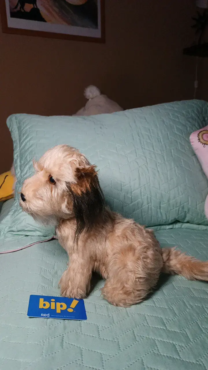 Peluche de perro Benji antiguo - 3