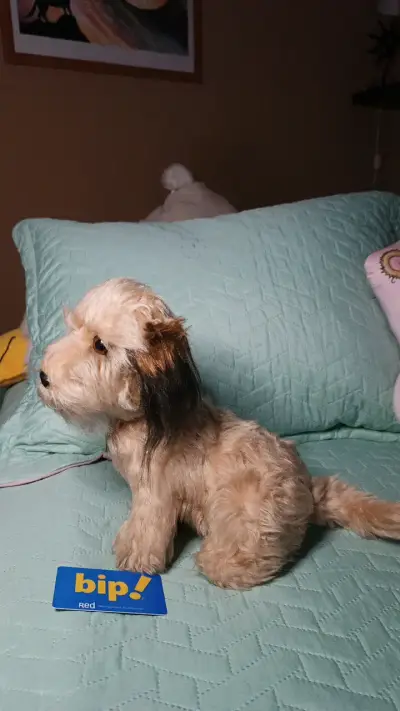 Peluche de perro Benji antiguo - miniatura 3