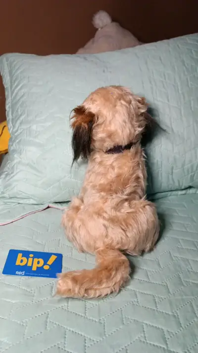 Peluche de perro Benji antiguo - miniatura 4