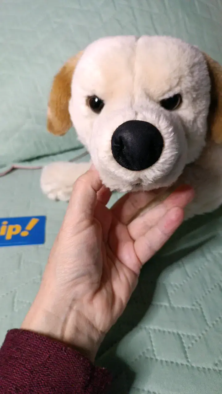 Peluche de perro blanco suave y tierno - 3