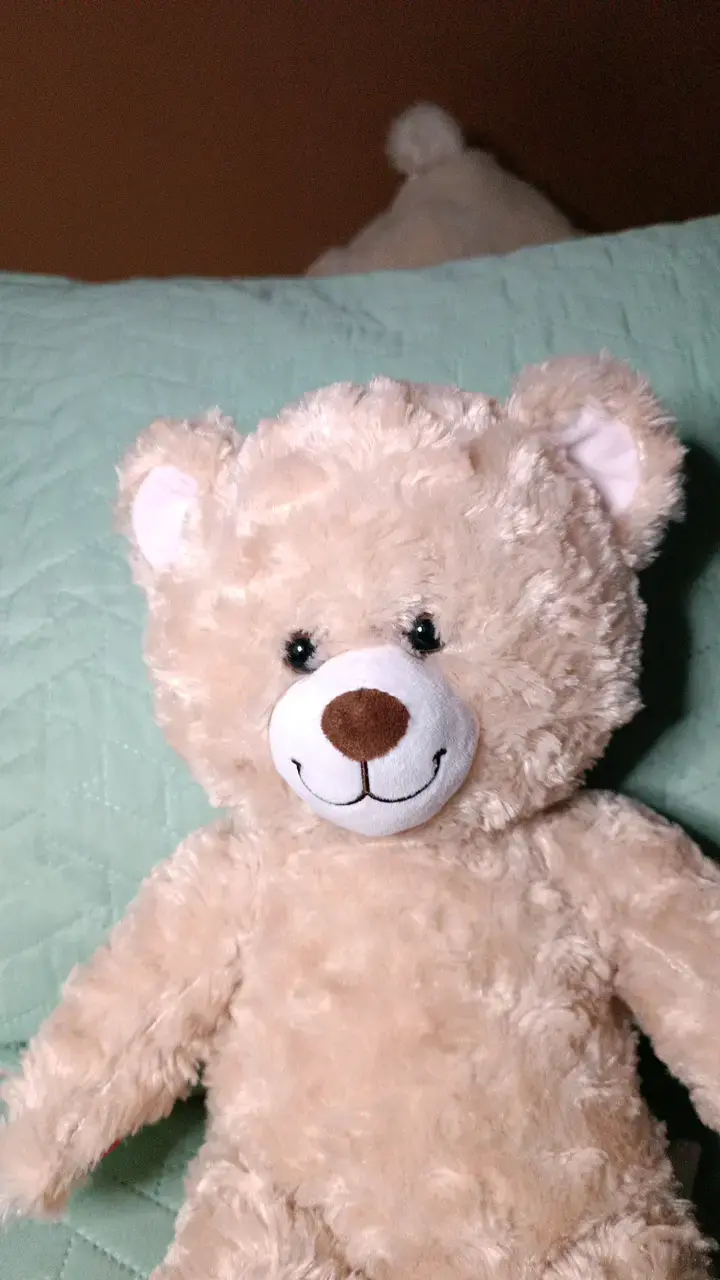 Osito de peluche beige BAB Build-A-Bear - 2