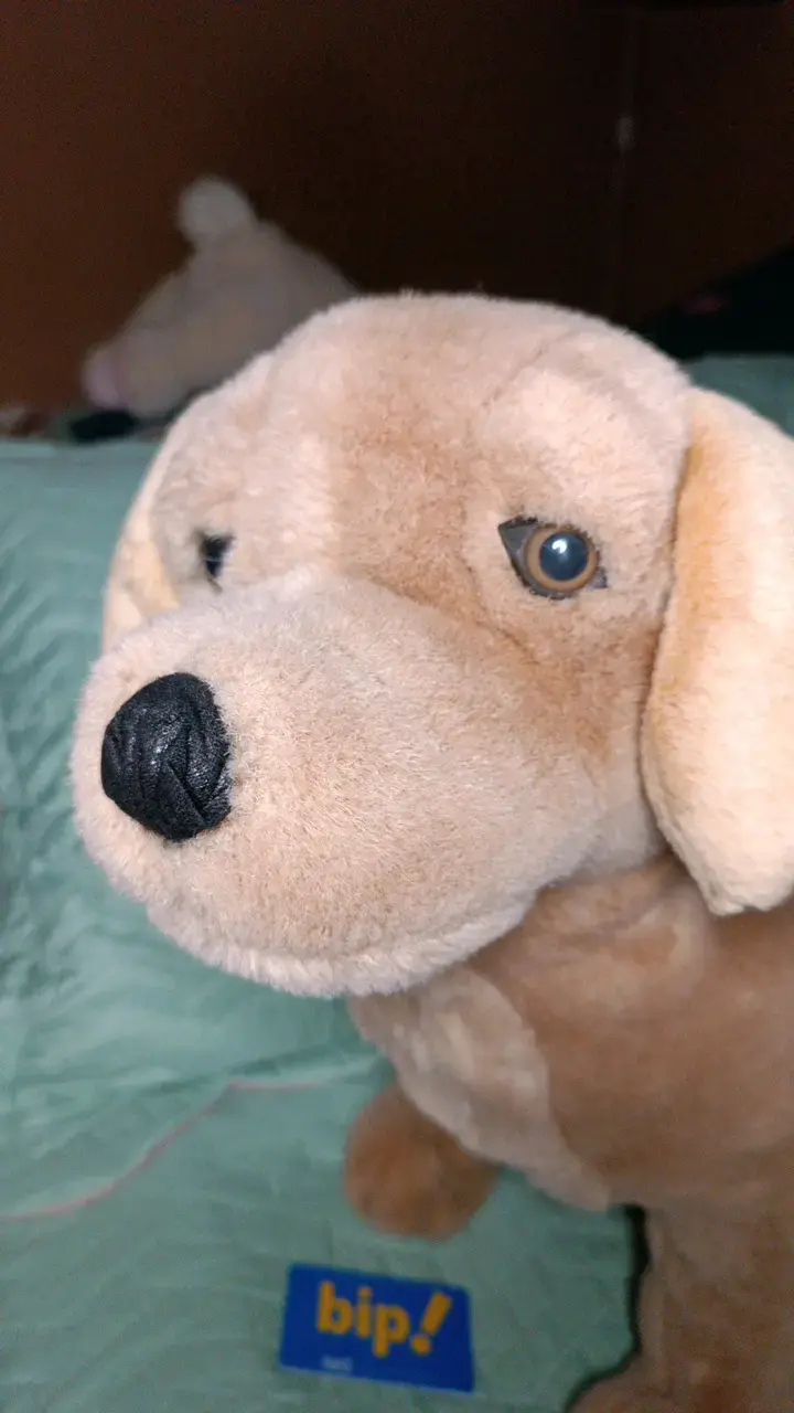 Peluche de perro grande beige suave - 2