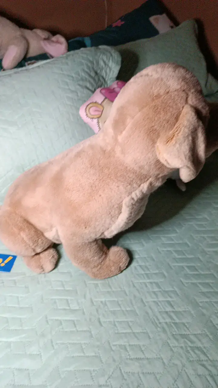 Peluche de perro grande beige suave - 4
