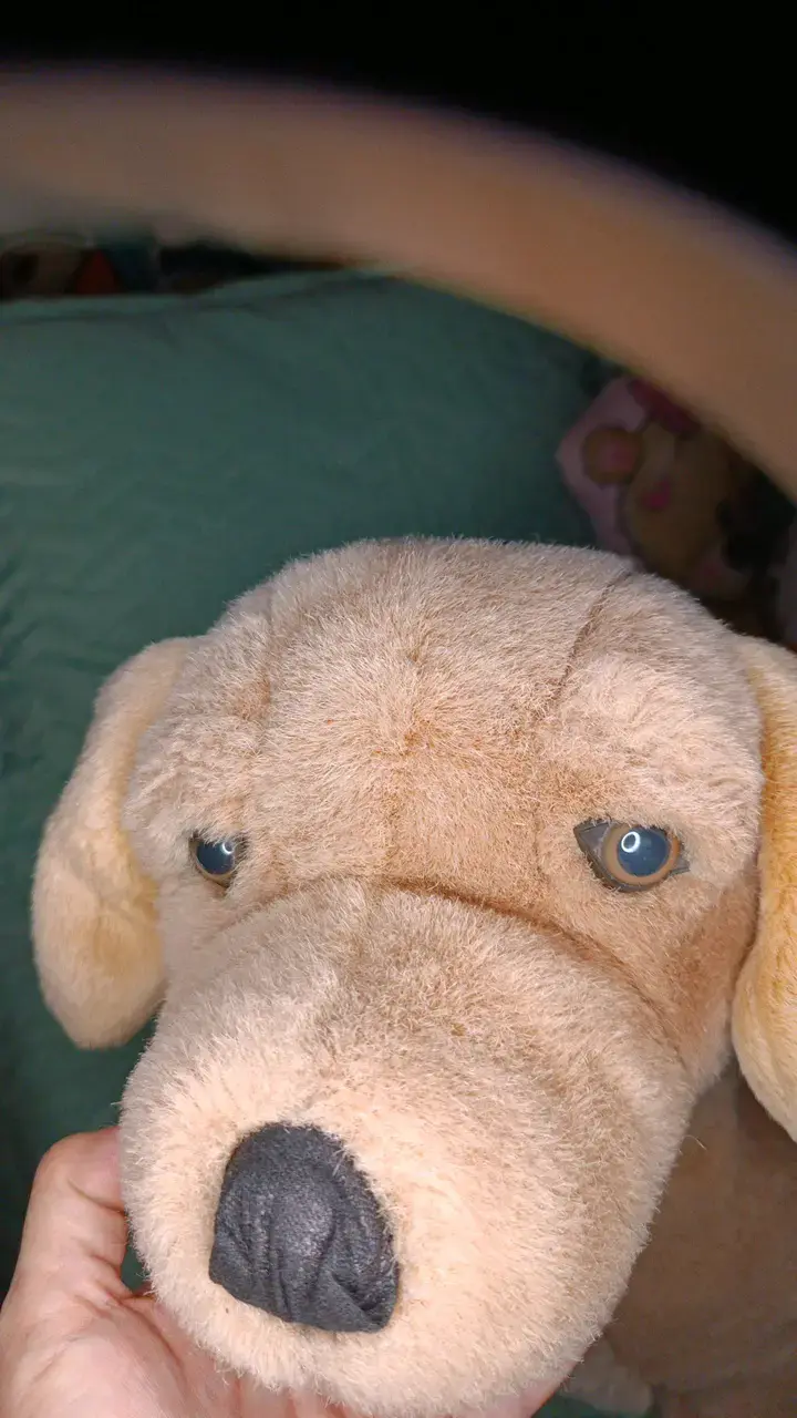 Peluche de perro grande beige suave - 5