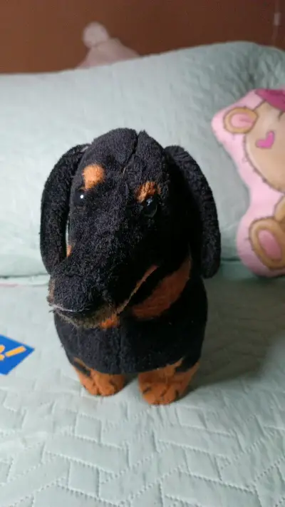 Peluche perro salchicha negro y café - miniatura 2