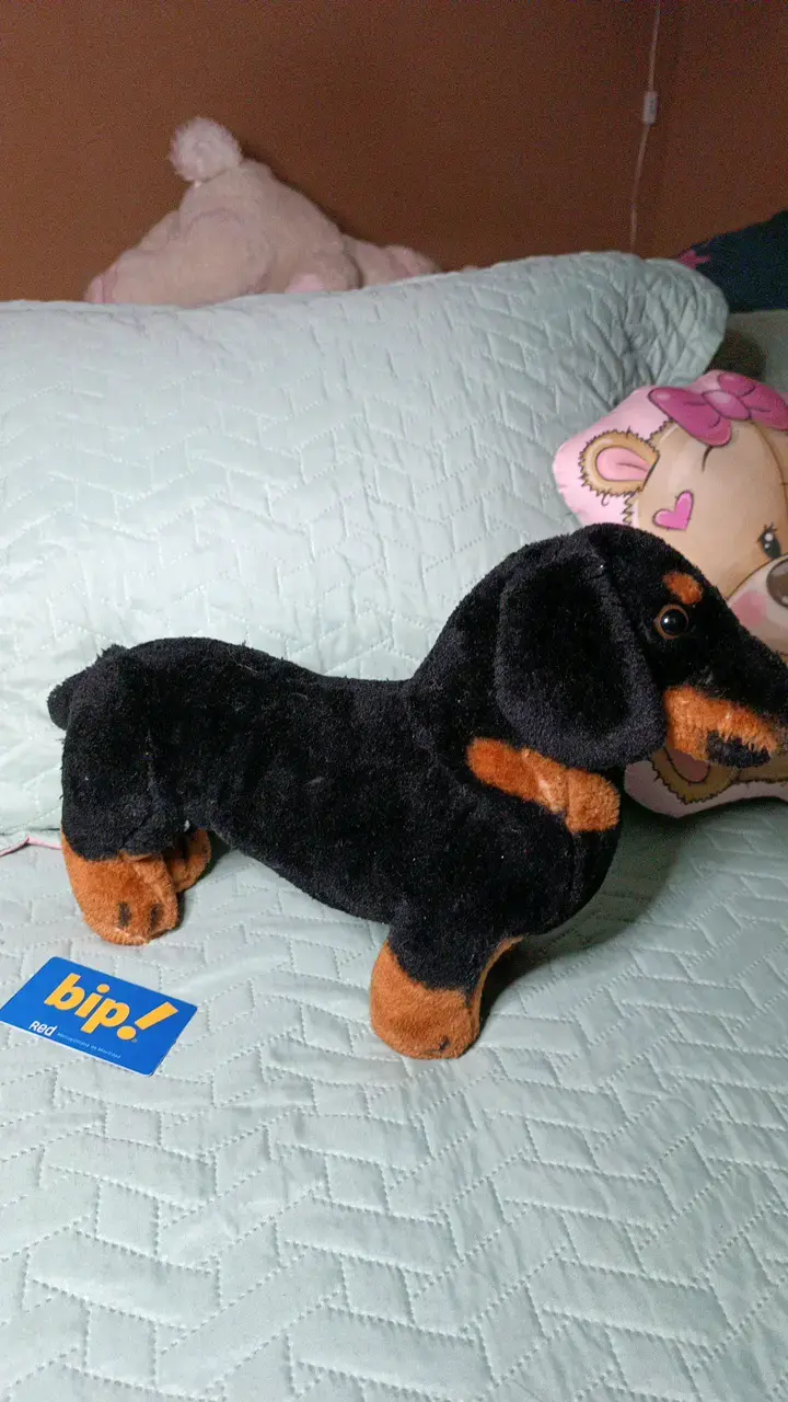 Peluche perro salchicha negro y café - 4