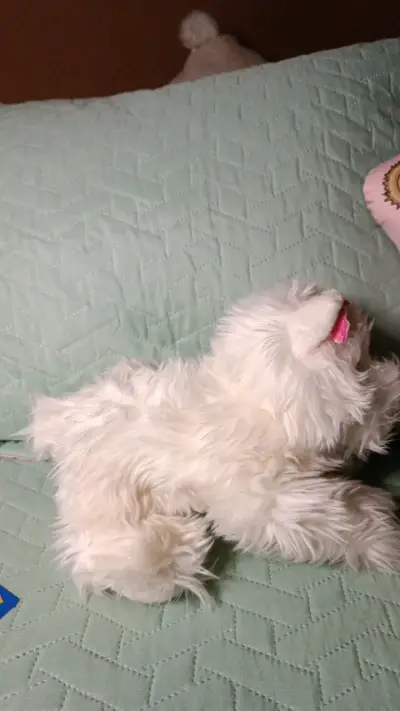Peluche perro blanco Make-A-Wish suave - miniatura 3