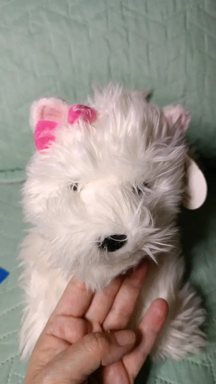 Peluche perro blanco Make-A-Wish suave - 4