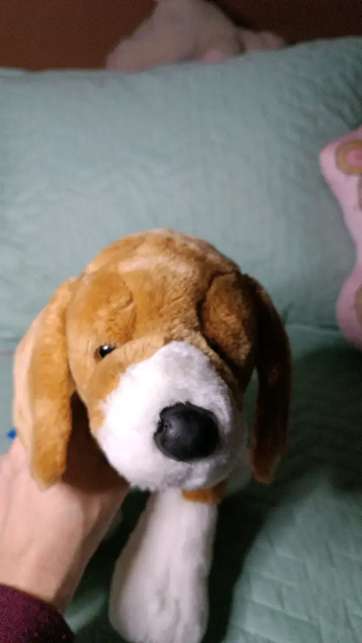 Peluche de perro Beagle suave y tierno - 5