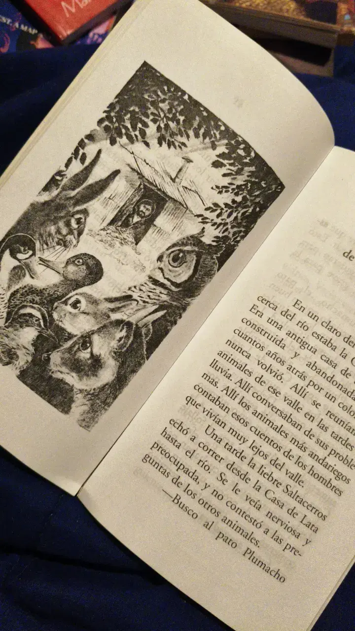 Libro Surazul de Jorge Ruedlinger Vera - 3