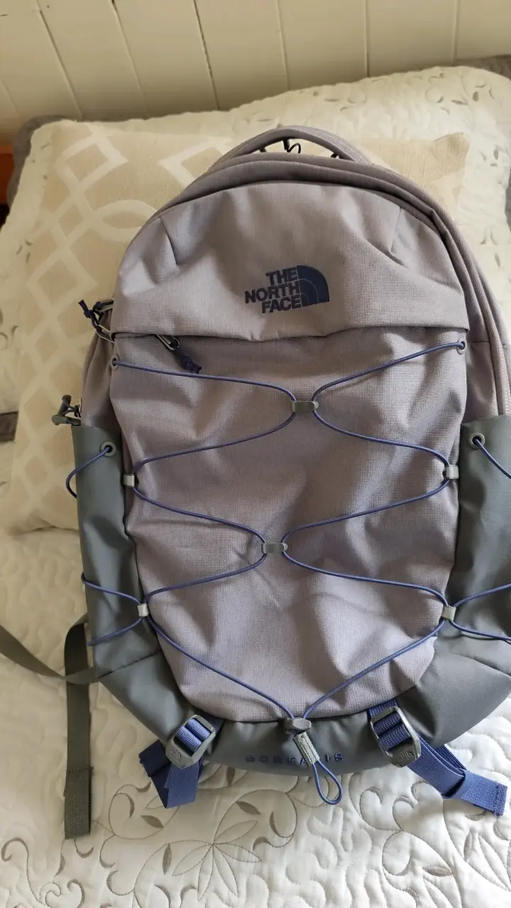 Mochila The North Face Borealis gris - 1