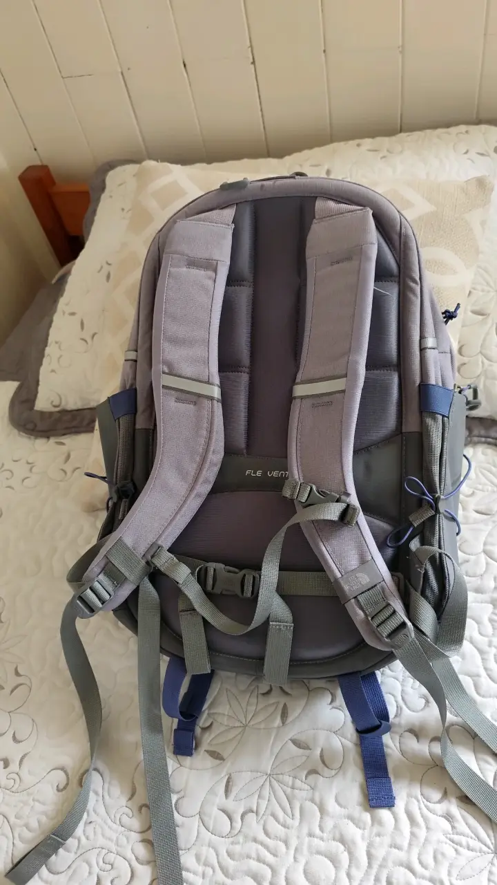 Mochila The North Face Borealis gris - 2