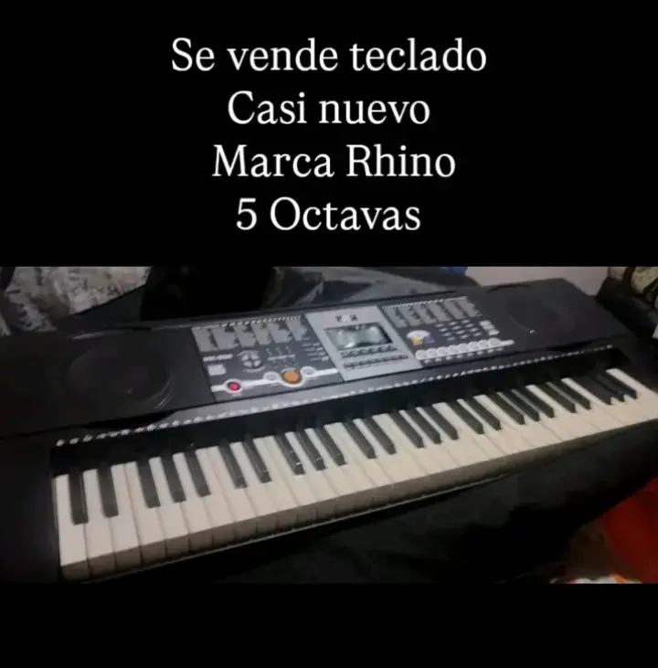 Teclado eléctrico Rhino 5 octavas