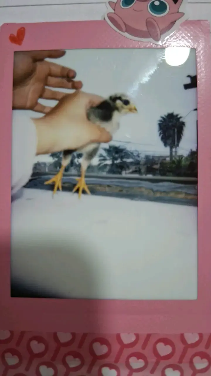 Cámara instantánea Fujifilm Instax Mini 9 rosa - 2