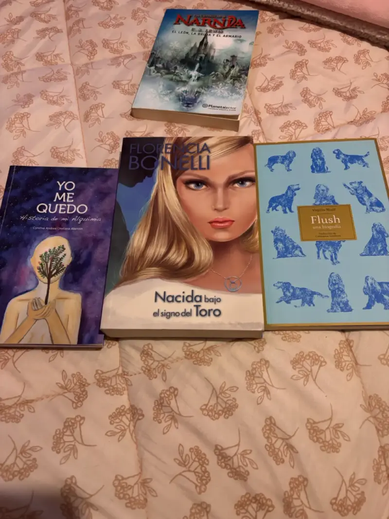 Lote de 10 libros variados en buen estado - 4