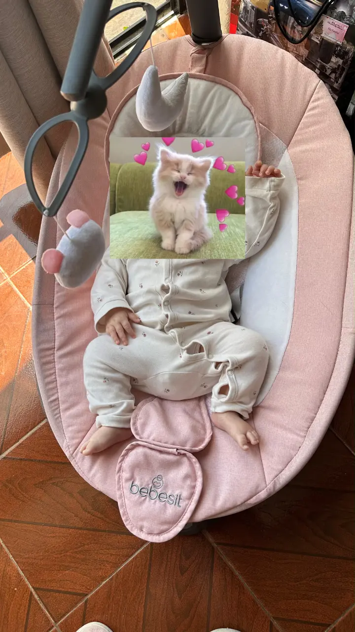 Silla mecedora para bebé Bebesit rosa