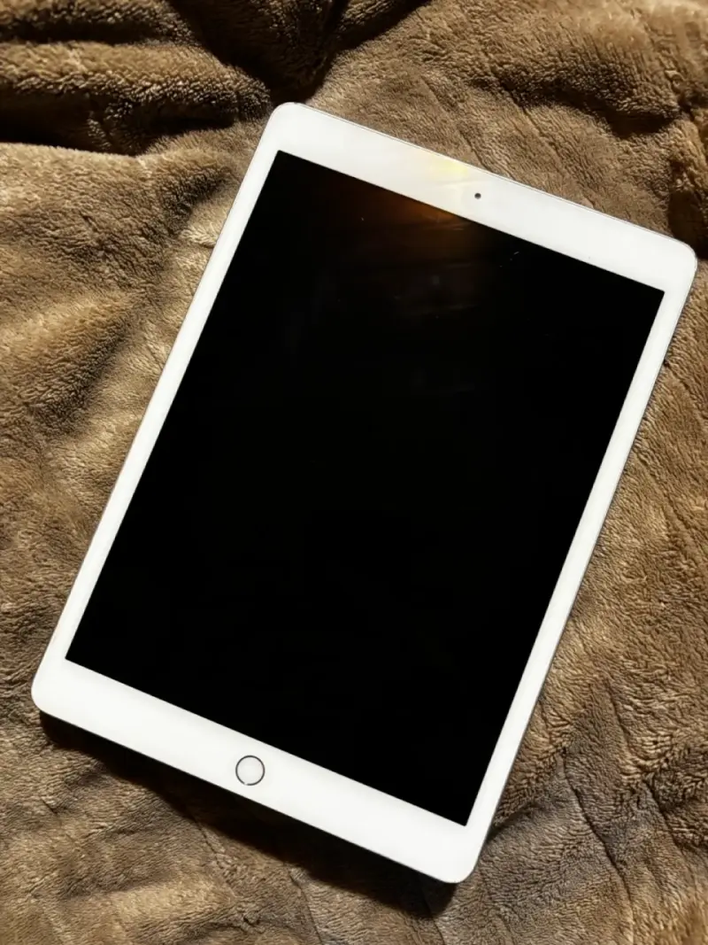 iPad + Apple Pencil Original - 1