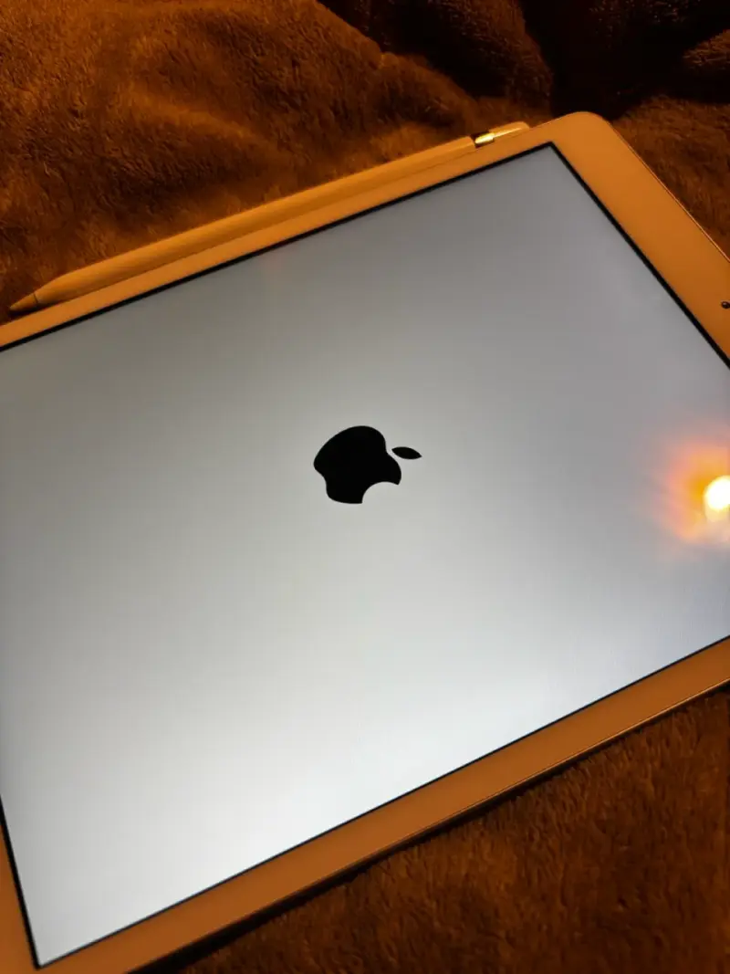 iPad + Apple Pencil Original - 4