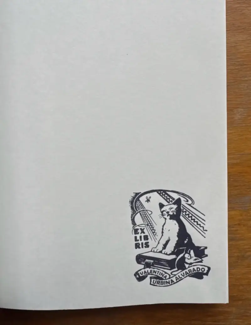 Libro 'El cielo es azul, la tierra blanca' de Hiromi Kawakami - 3