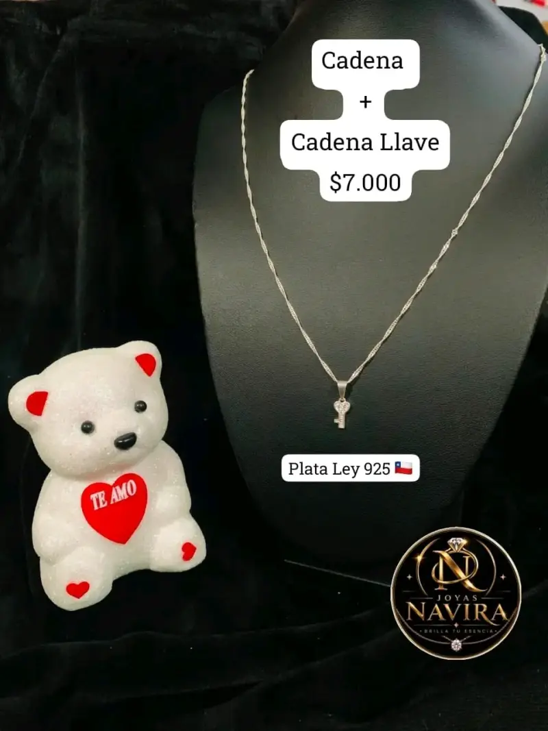 Collar de Plata 925 con Colgante de Llave - 1