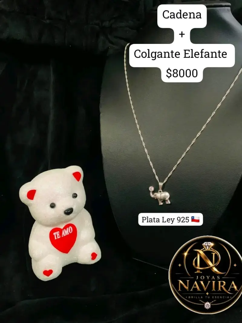 Collar de Plata 925 con Colgante de Llave - 2