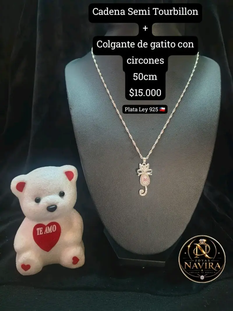 Cadena de Plata 925 con Colgante Variado 50cm - 2