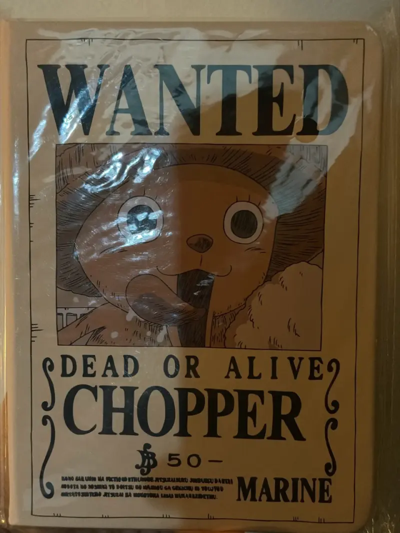 Libreta de chopper y luffy - 1