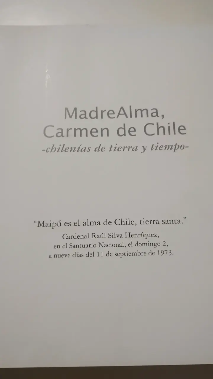 Libro Madrealma, Carmen de Chile de Joaquín Alliende Luco - 2