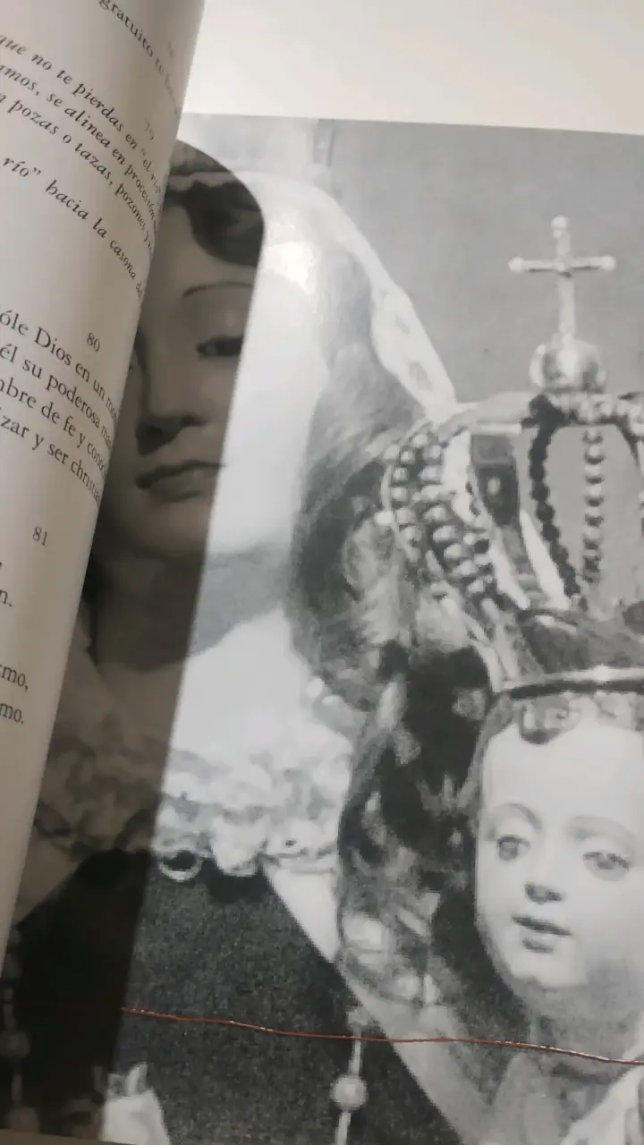Libro Madrealma, Carmen de Chile de Joaquín Alliende Luco - 4