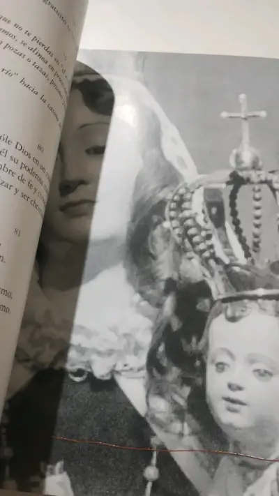 Libro Madrealma, Carmen de Chile de Joaquín Alliende Luco - miniatura 4