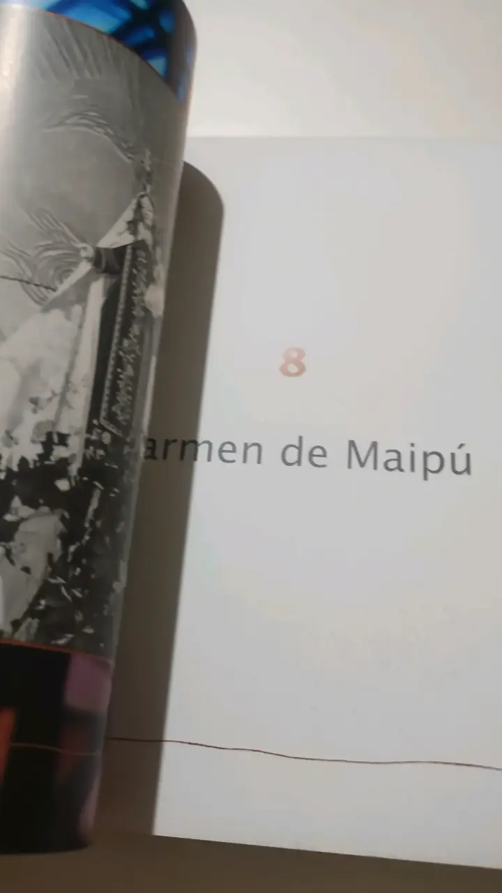 Libro Madrealma, Carmen de Chile de Joaquín Alliende Luco - 6