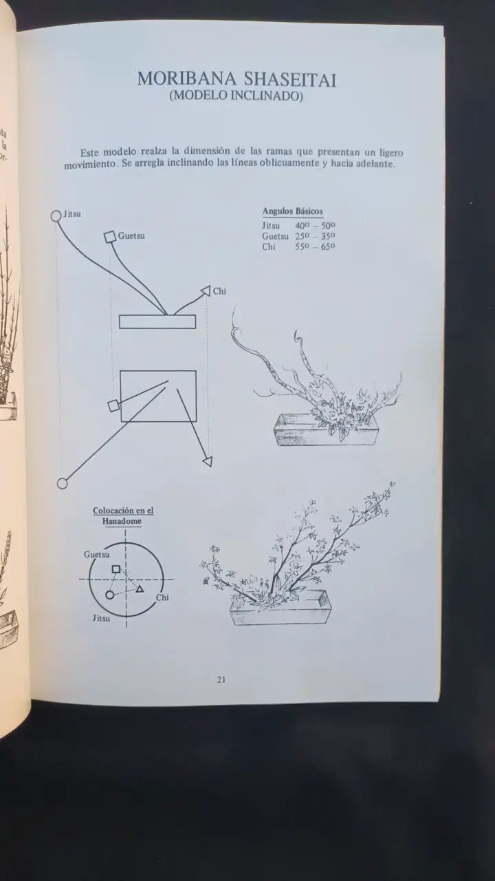Libro Kado Sanguetsu Ikebana sobre arte floral - 4